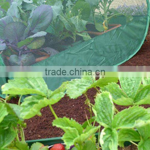 Pop-Up Strawberry Cage