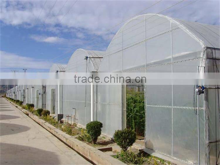 Large multi span green house