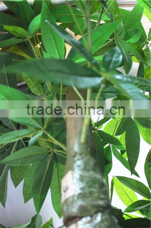 Home garden creepers decoration 180cm Height artificial green Pachira aquatica tree EFCS05 2901