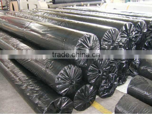 Fiberglass geogrid