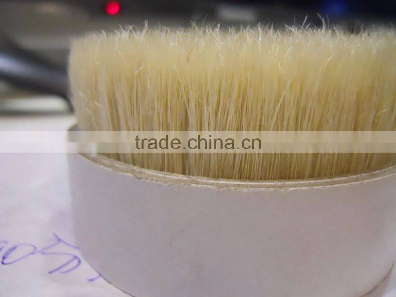 Bleached White Boiled Bristle