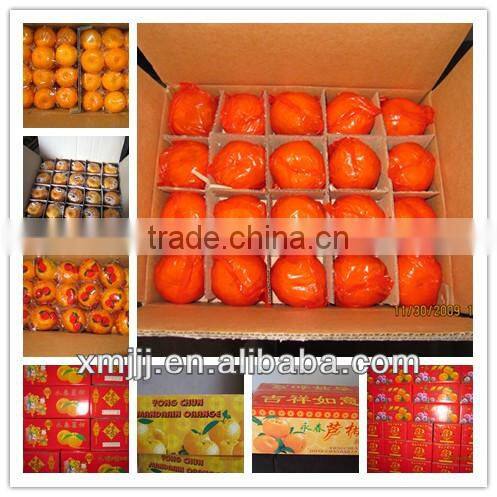 Sweet Nanfeng Baby orange