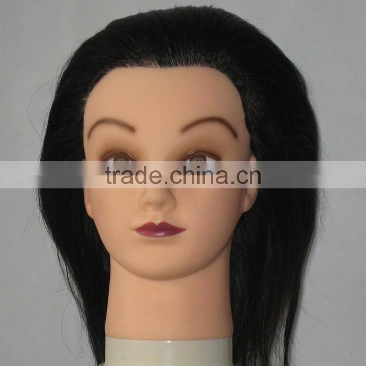 Beauty School Human Hair Trainning Head Salon Teaching Head Hair Styling Head