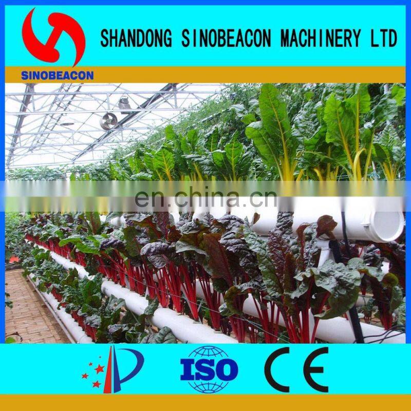 Commercial Hydroponics Greenhouse With Vertical NFT PVC Pipe