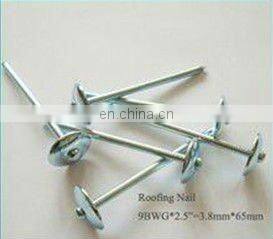 Hot Sale Twist Roofing nail(SW-043B)