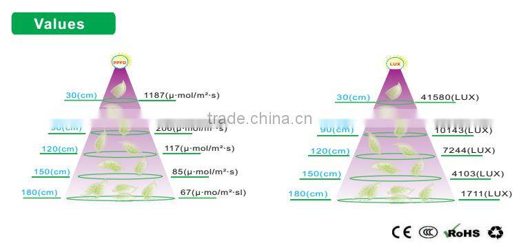 Hot selling !!!Noah 6 LED grow light for plant with comprehensive function