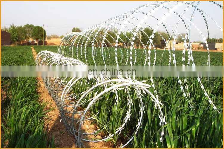 Sharp razor barbed wire fencing for Italy