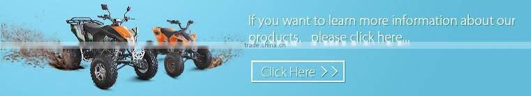 125cc Atv With Reverse Gear From Eglmotor