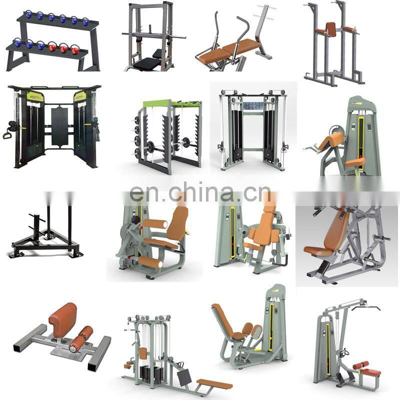 Commercial gym cheap fitness equipment roma bench ASJ-S830 Back Extension bench