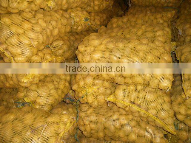 Potato Type and Common Cultivation Type Fresh Potatoes