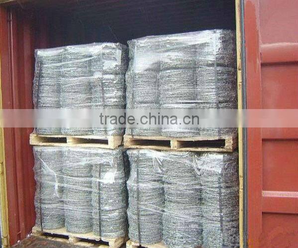 Electro Galvanzied Barbed Wire