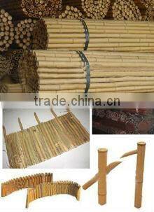 Agriculture Greenhouse Plastic Seeding Tray