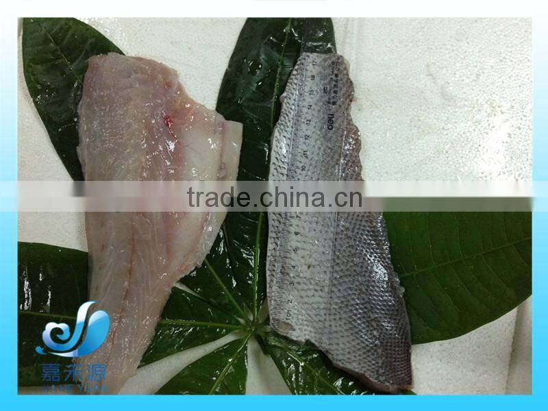 Frozen brown croaker fillet