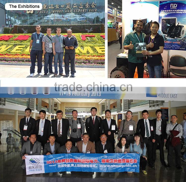 High Quality Low Speed Dynamo Alternator Watt