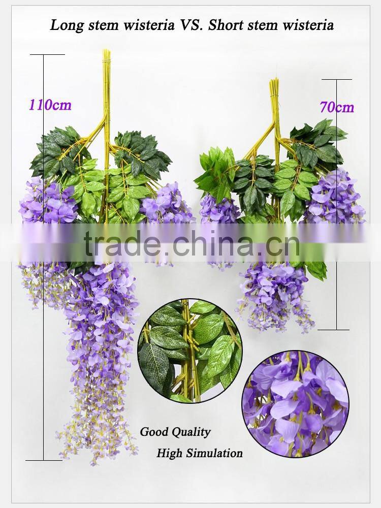 Chinese native mini blue chinese wisteria flowers