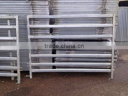 Oval Tube Rail Welded and Hot-dipped Gal Cattle Panel/Cattle Gate(Standard Australia Fence)