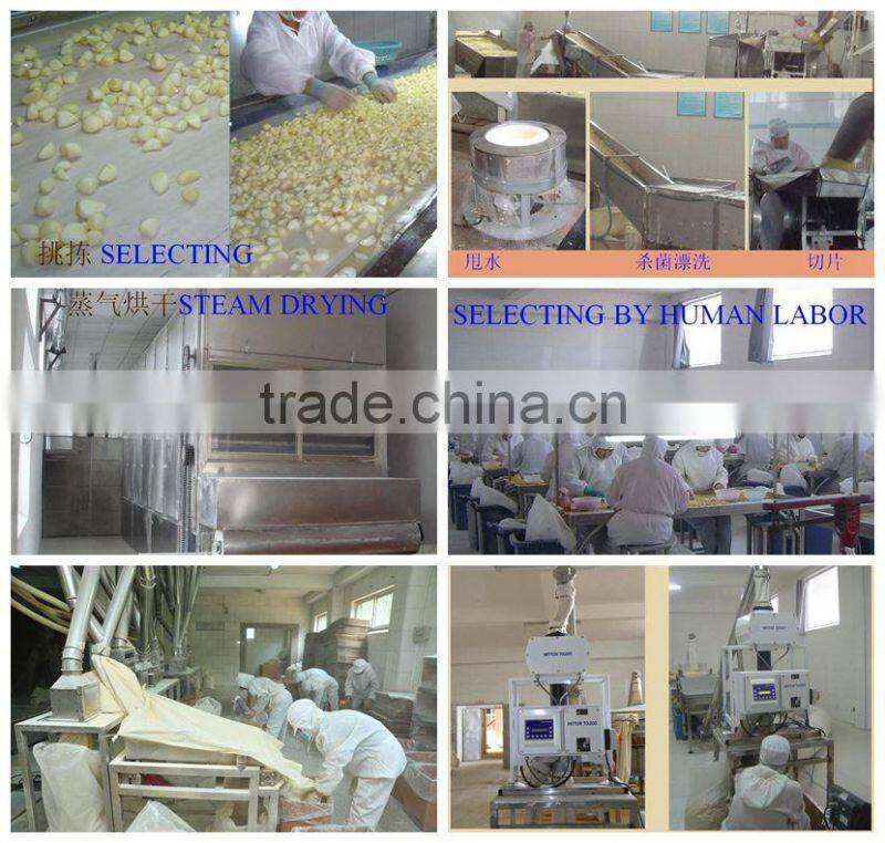 pure dried yellow onion powder