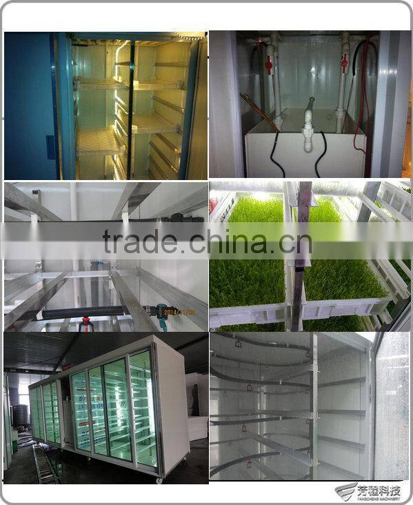 Hot Sale Automatic Barley Seedling Machine