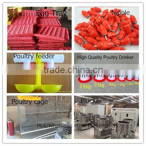 56 eggs Factory sell egg incubator, mini incubator, ZH-56 dual power 12V, 220V(Mob/whatsapp:0086-15266968635)