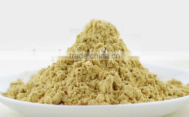 Natural Pure Ginger Extract Powder