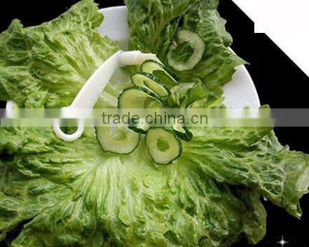 1 Set Kitchen Vegetable Fruit Shred Slicers Peelers Grater Shredder Cutter Tools 2014