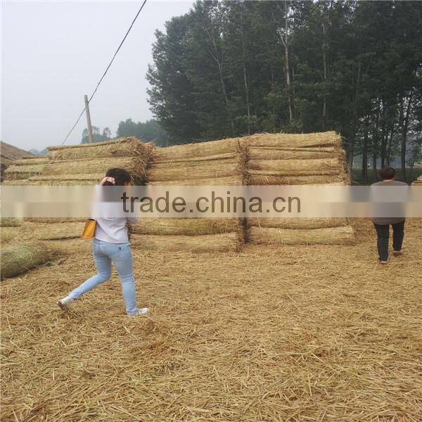 high efficiency and large stock rice straw mat knitting machine