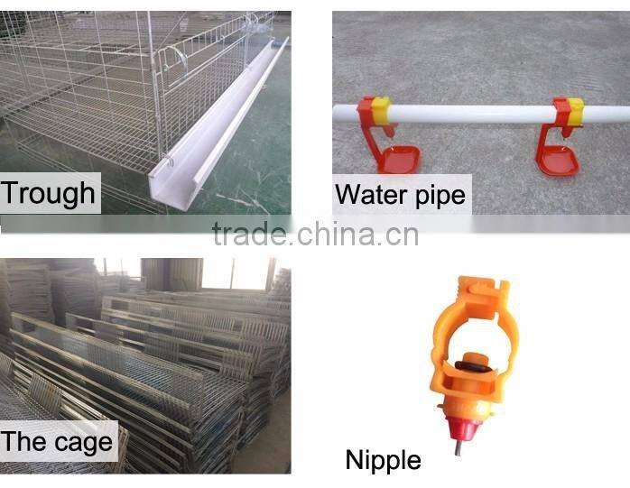 high quality design layer quail cages for sale