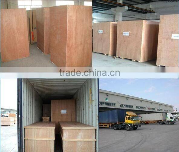 2016 Hot Sale Easy To Operate Beverage Tin Can Seamer