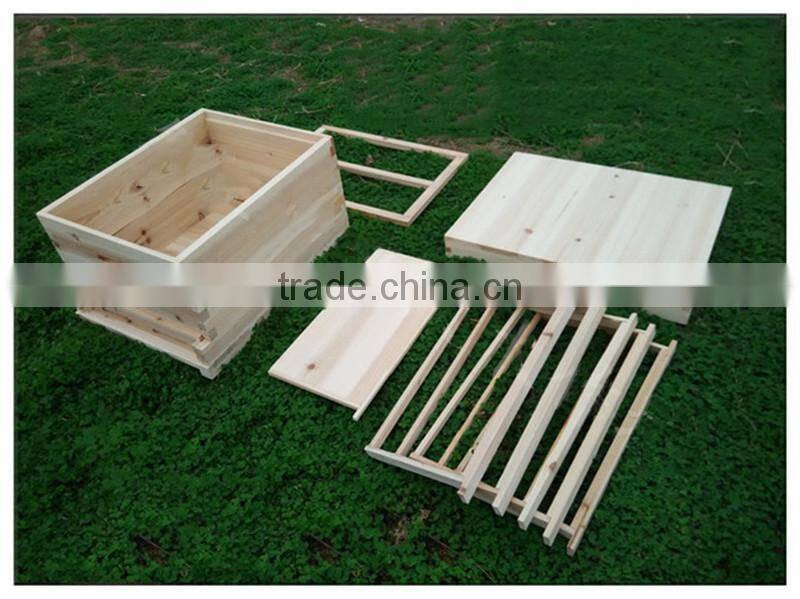 Chinese Bee HIve Pine Wood 2 Layer Frames Hive For Australia Standard High Quality Solid Wood Bee House Hive
