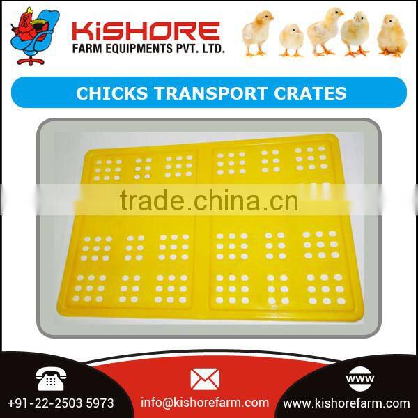 Chicks Transport Crates / Poultry Crates Price