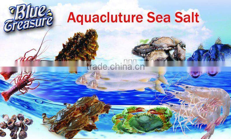 Lobster/shrimp Aquaculture Sea Salt