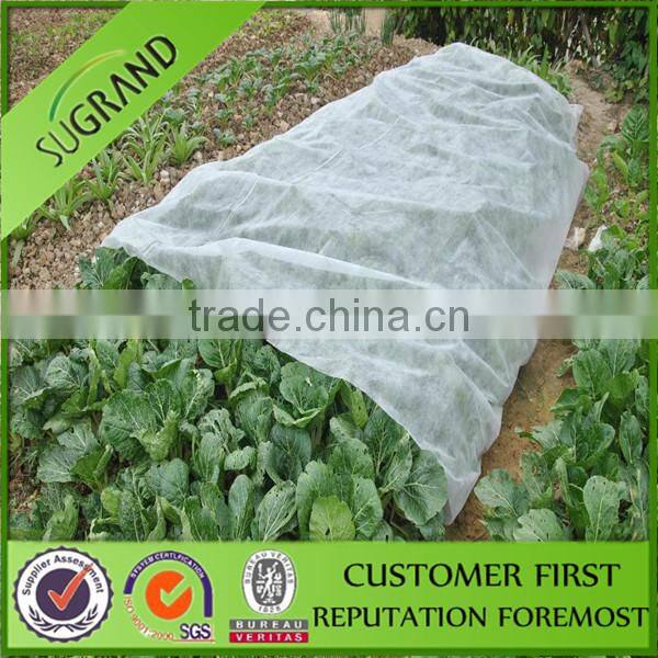 tree /vegetable/winter fleece plant cover