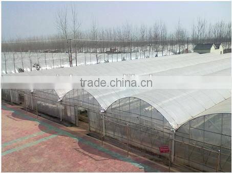Factory Supply PVC Greenhouse Tent for Sale