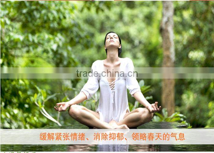 Spring Organic Jasmine Tea Top Grade Fu Jian Dragon Pear Tea