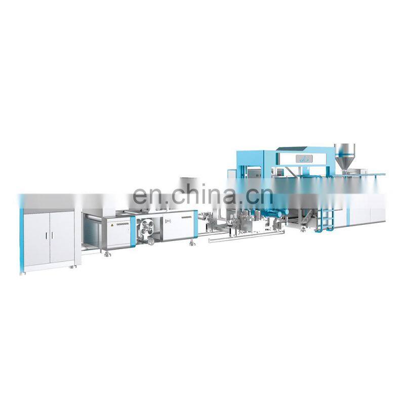 Diagonal double-layer pp sheet line plastic extrusion machine
