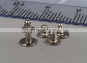 Micro Screw, Fastener, Metal Rivet Pin & cold forging part