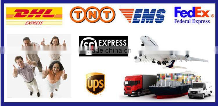 New 26'' Aluminum Alloy 700C Aero Spoke Wheel Fixed Gear Bike/Bicycle