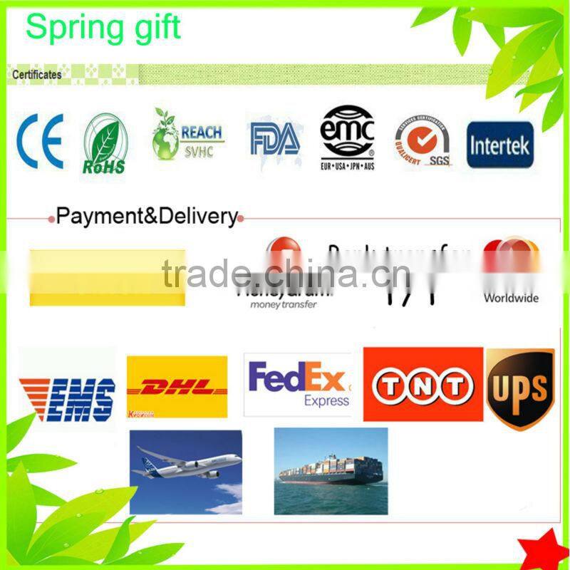 funky keychains,amber keychain, insect keychain