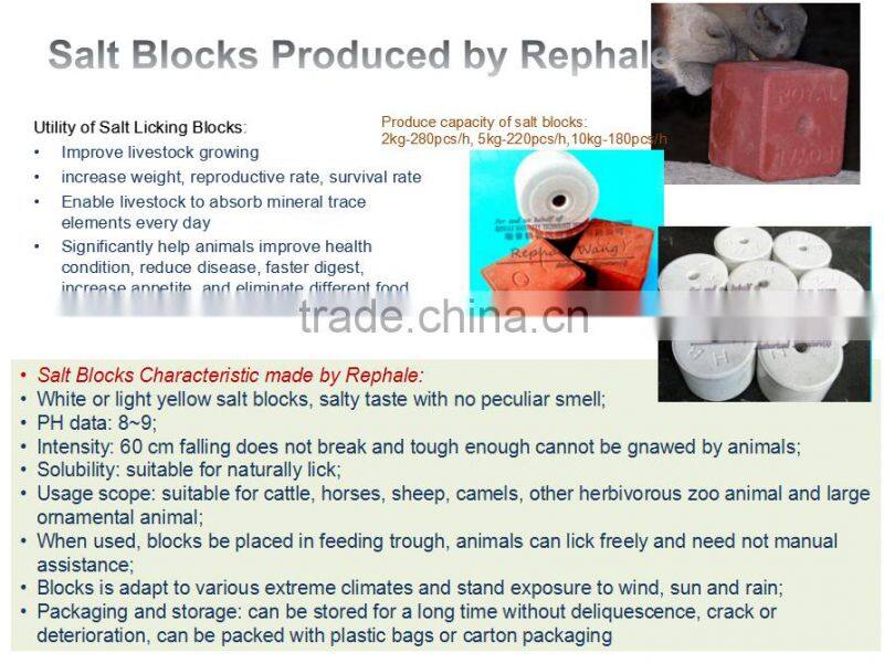 Rephale Salt Block/Tablet Press Machine