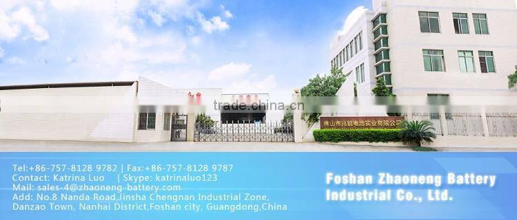 OEM alkaline battery(dry cell battery)