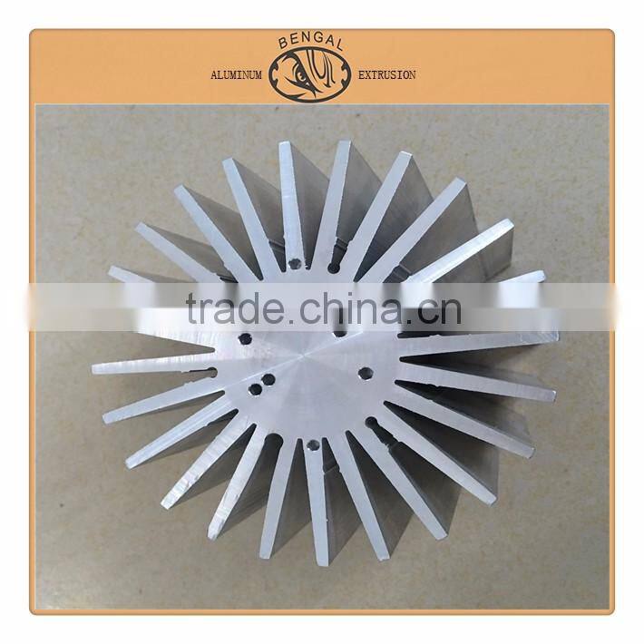 Sunflower Hollow Section Radiator alloy Extrusion Aluminum