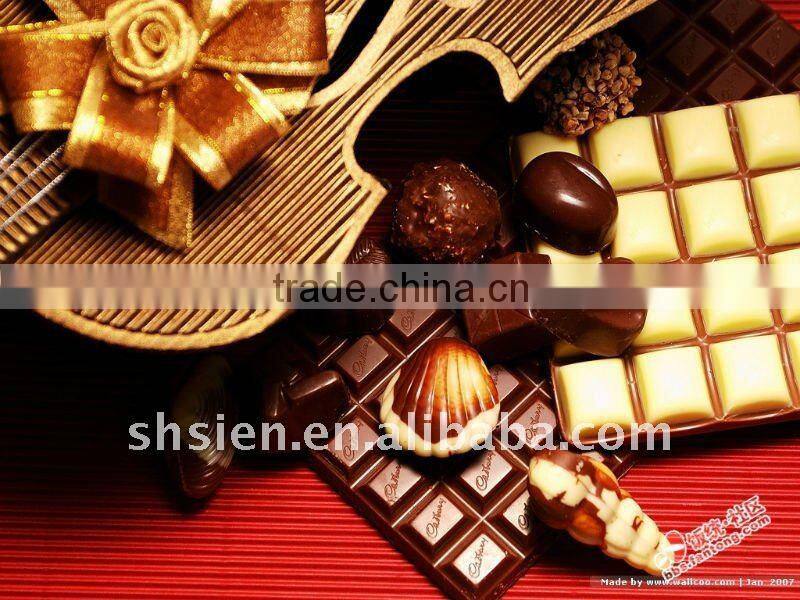 Chocolate enrobing candy bar machine