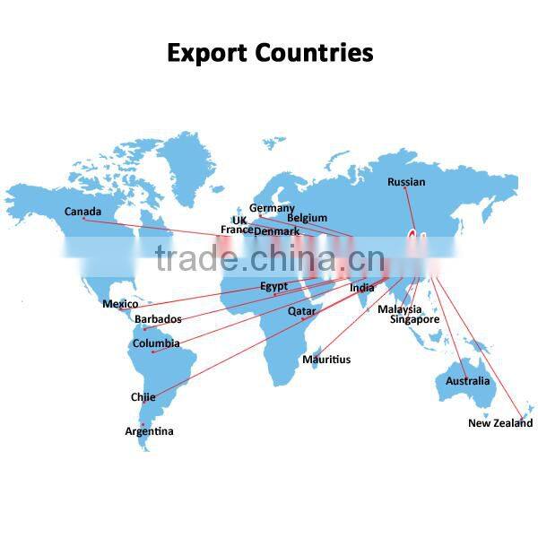 inflatable kite, show kite,motorbike kite from Kite factory