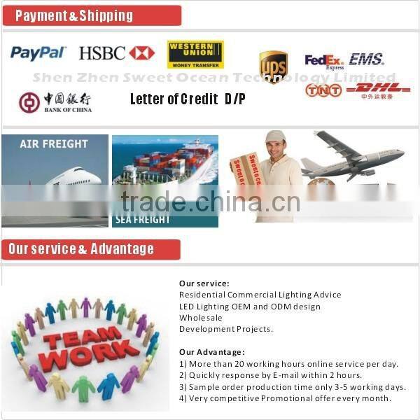 Light Brightly 35W PAR30 Rail Lights Led Track Light