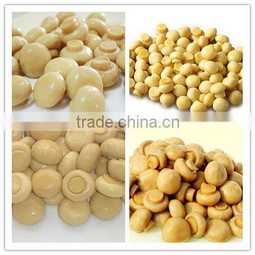 High quality Canned mushroom with best price for sale