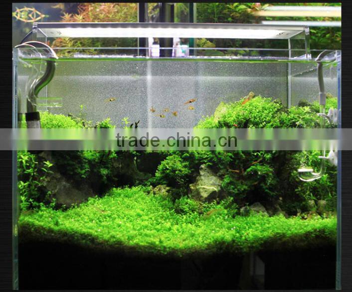Distributors wanted Chihiros aquarium lighting led system 330-1251