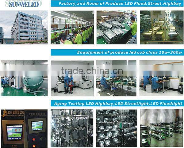 Project LED New LED Flood 50w in Austria with Bridgelux 45mil Chips