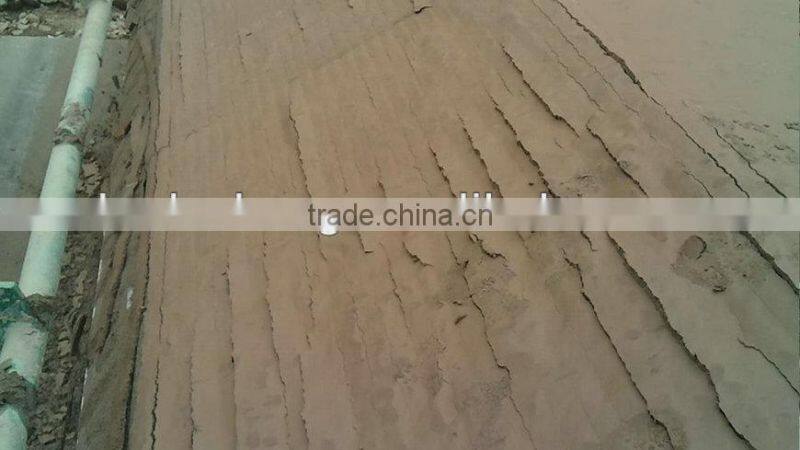 Vacuum Belt Filter Press