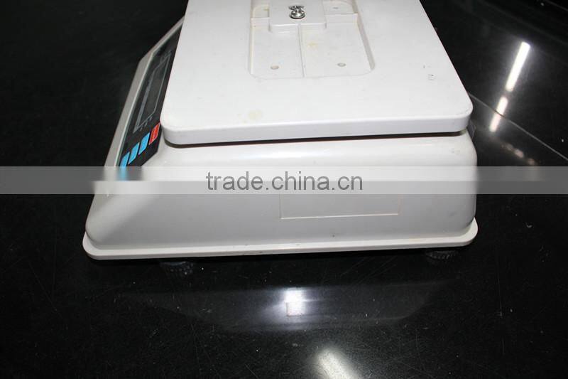 IP 68 electronic waterproof weighing scale