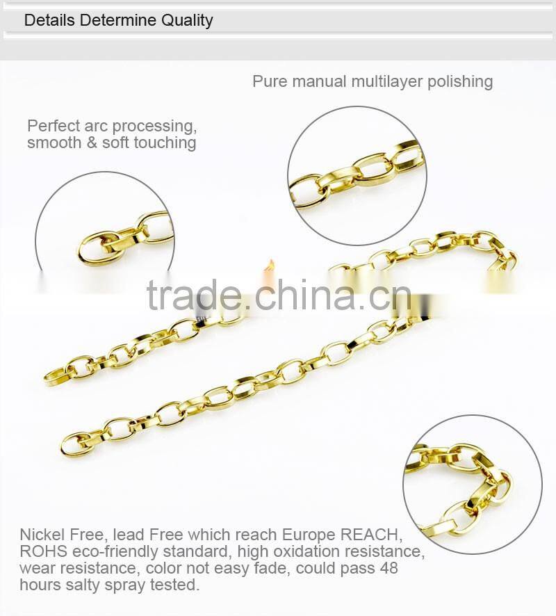 Small Link Silver and Gold Iron Shoe Chain